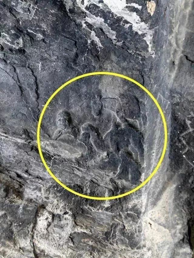 东方风来完整版免费观看,东方风来书法作品欣赏