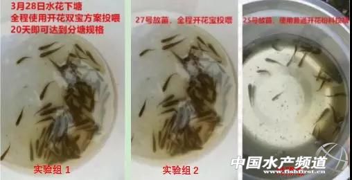 珠海海龙饲料最新价格,珠海海龙草鱼饲料
