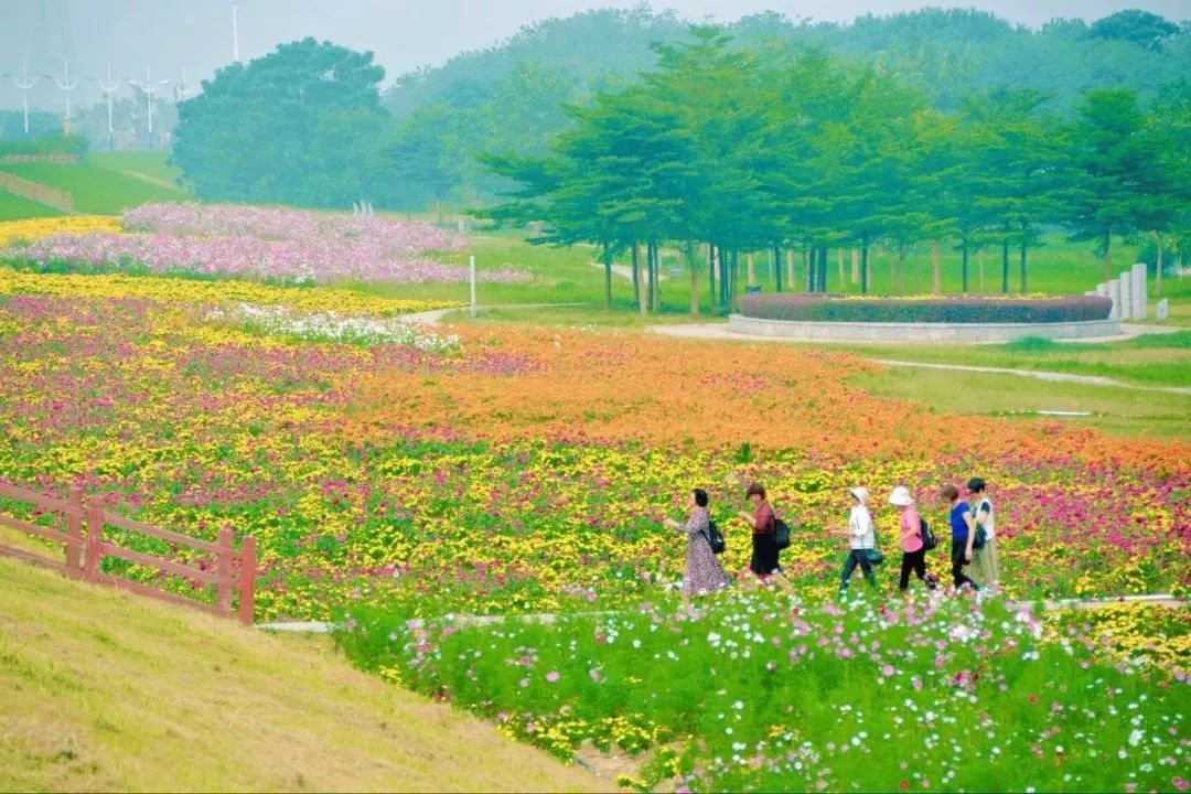 佛山出片拍照圣地,广东佛山周末可去的地方