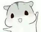 00后说的话90后听不懂,00后的黑话宝典解读