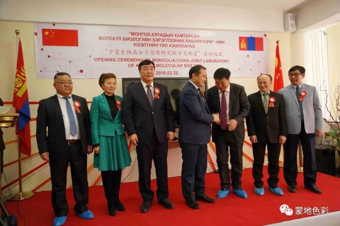 骆驼研究专家吉日木图