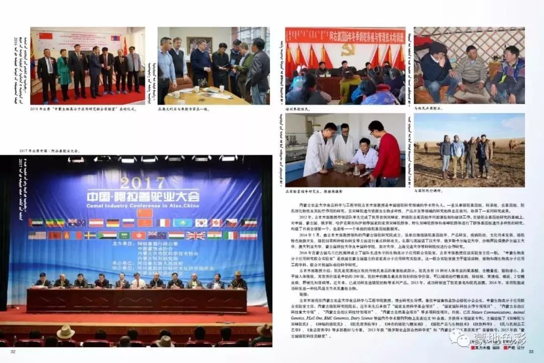 骆驼研究专家吉日木图