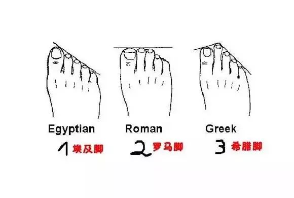 鞋子小常识100例,关于鞋子的科普知识