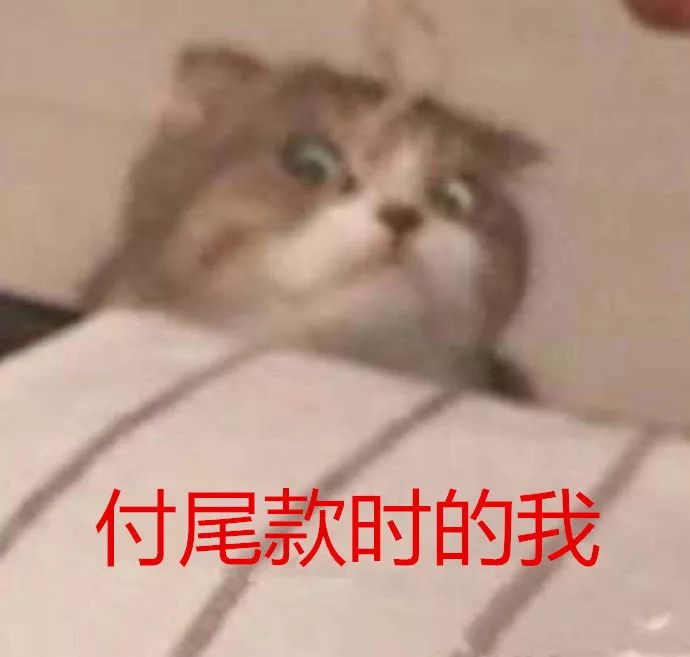 9小时剁手51亿!河南人在天猫上消费能买空“大卫城+国贸360全年”