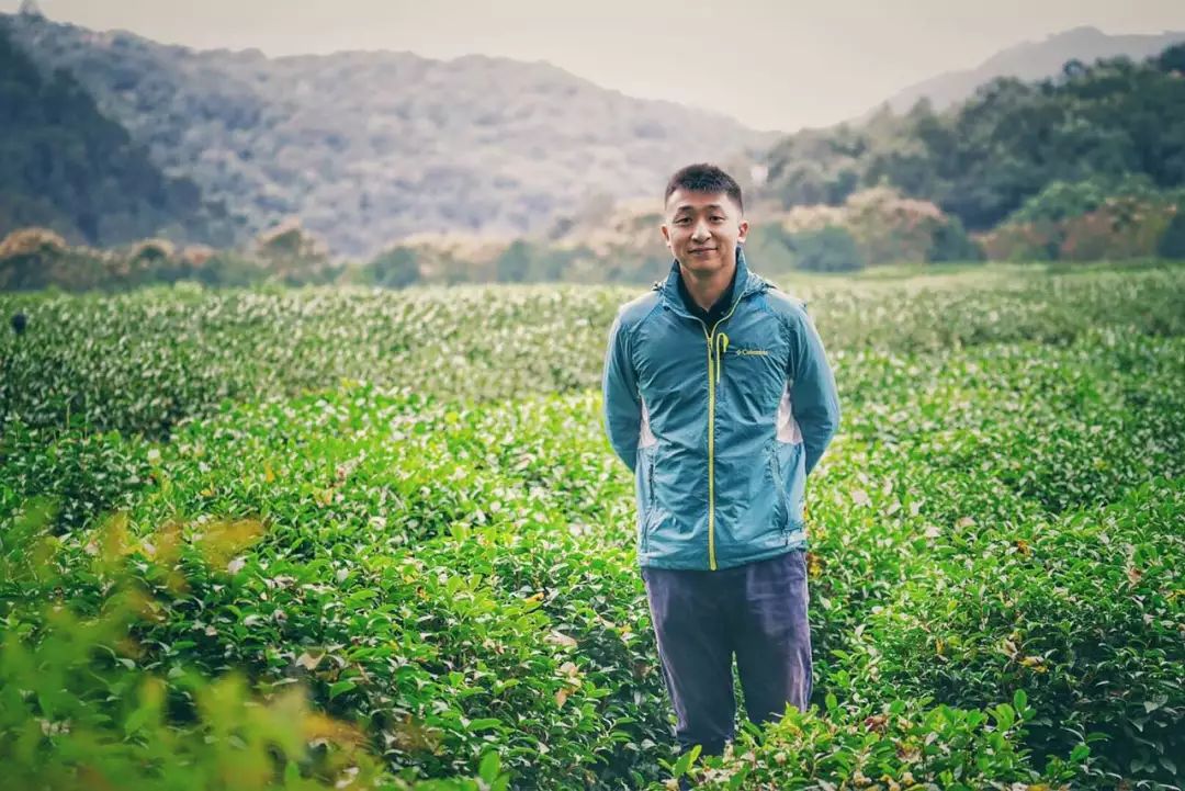 龙井茶每日一茶,龙井茶一天中最佳饮茶时间