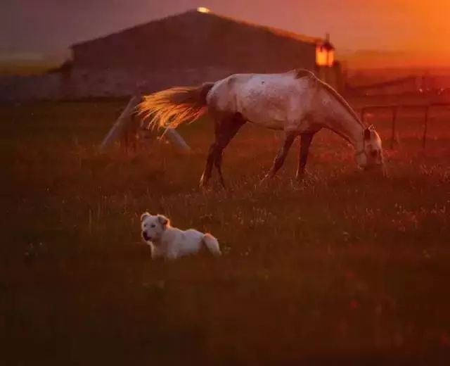 关于改革印记的文章,通辽的旅游发展现状