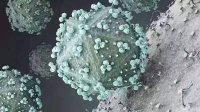 男子得了梅毒一年后复发,男子身患梅毒