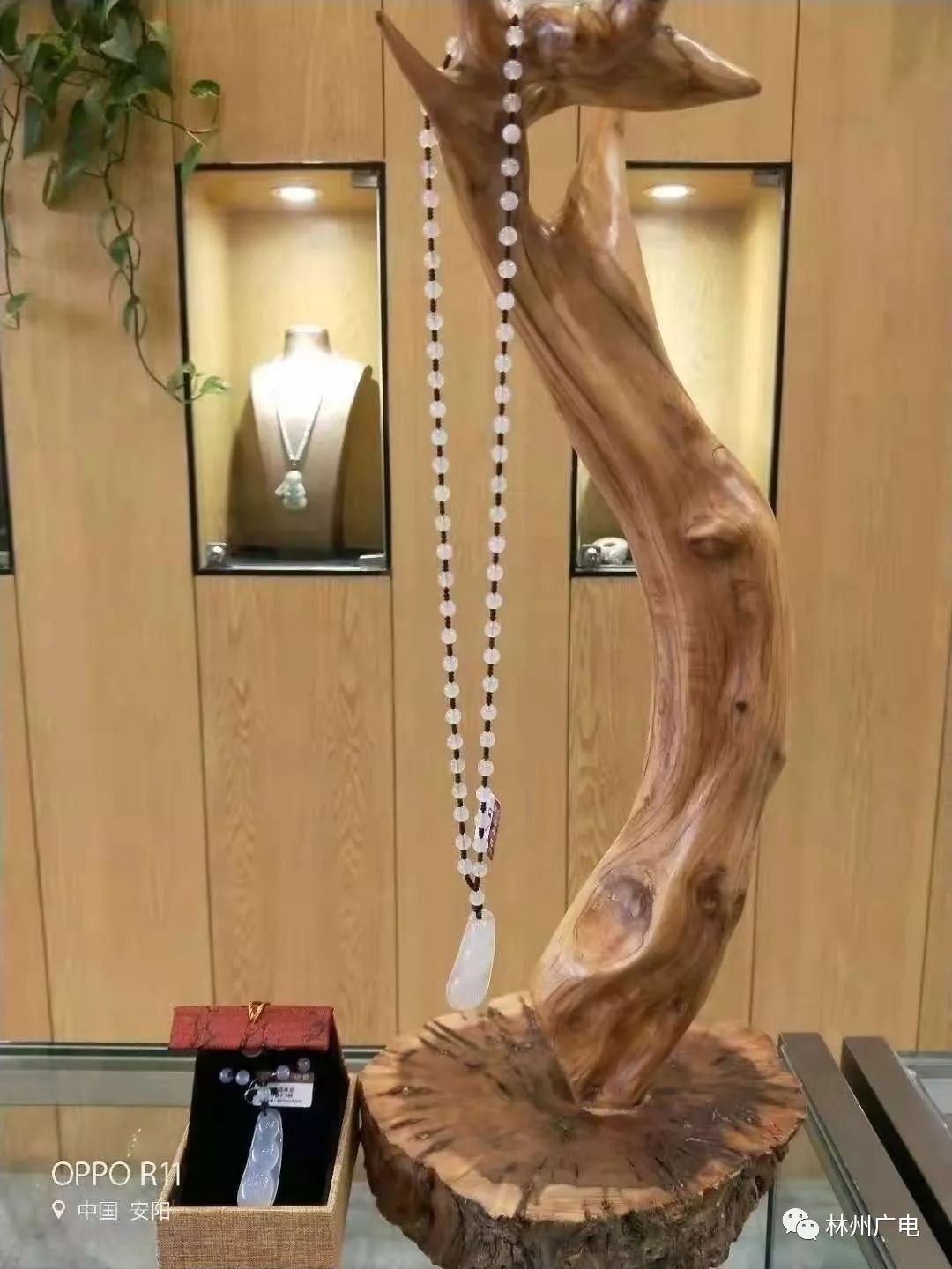 巨变四十年,巨变40年