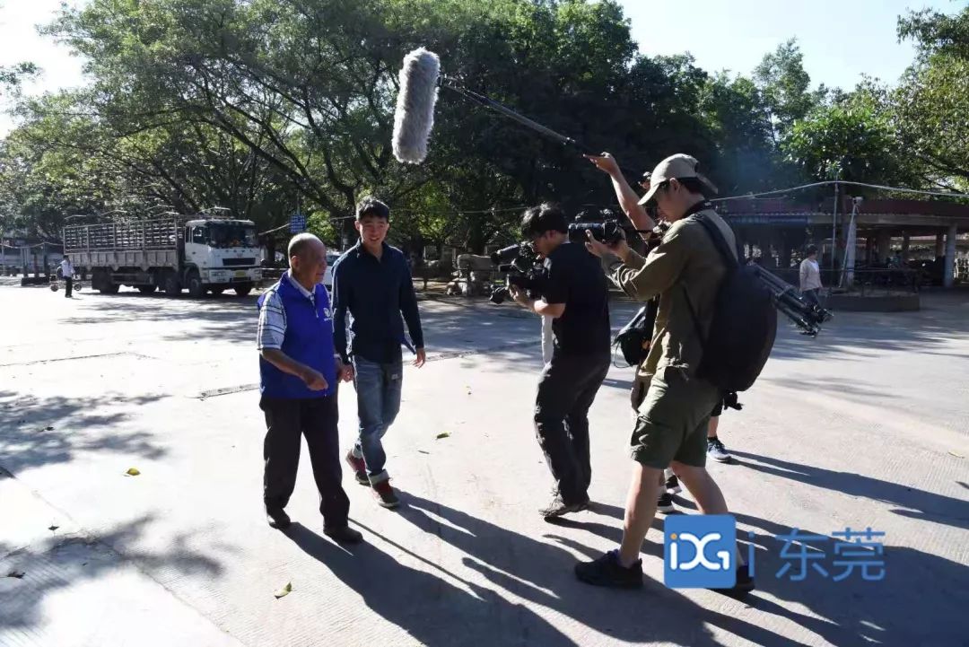 相牛78载！东莞有个金牌“牛经纪”！央视聚焦，看东莞百年牛墟魅力