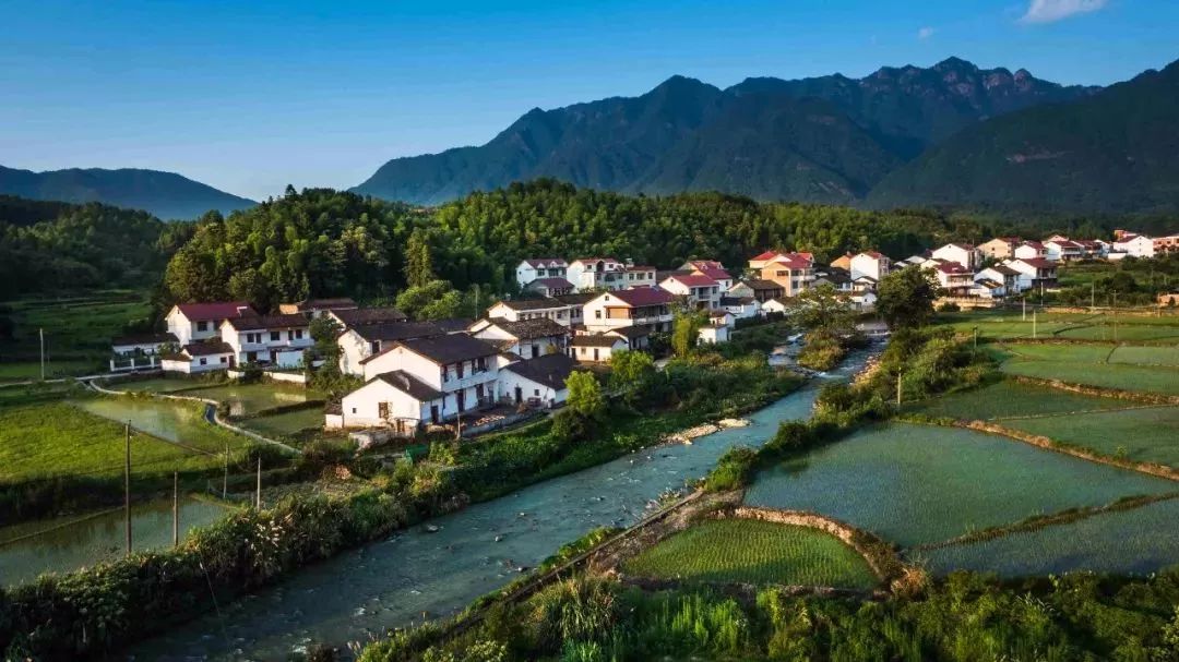 临沂田园综合体,临沂沂南田园综合体名单