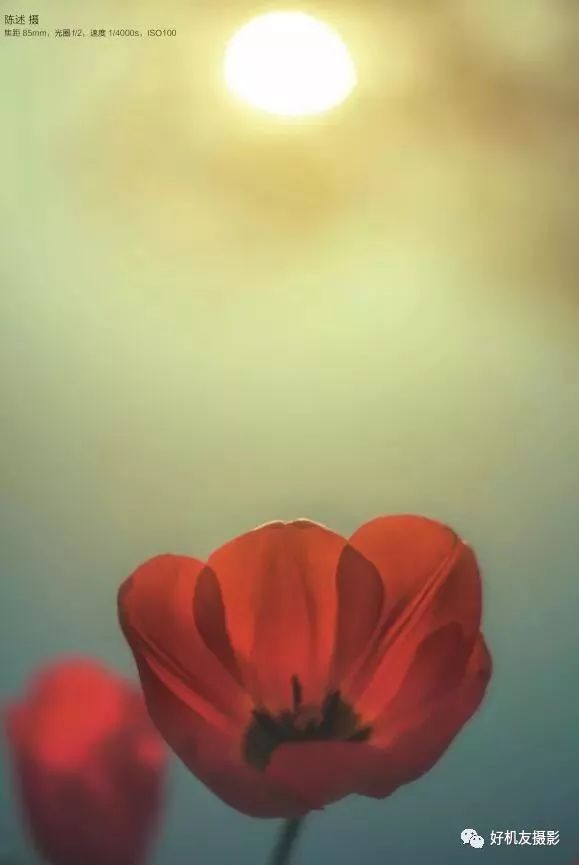 摄影光圈的基本理论,摄影常识光圈快门感光度