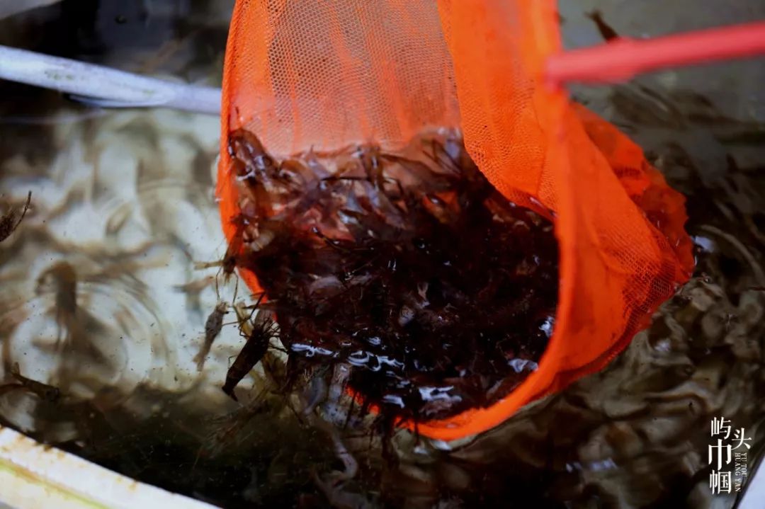 巾帼创辉煌,巾帼逐梦出彩人生