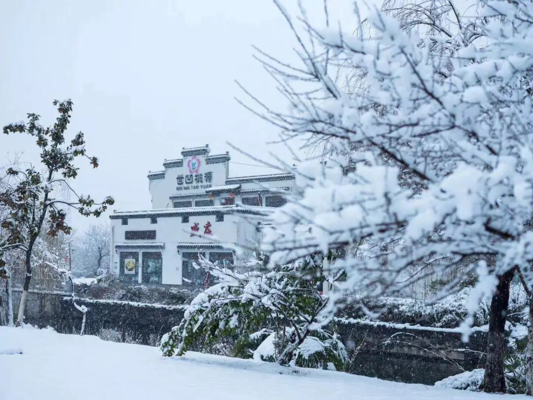 四季江宁旖旎无限，春华秋实美在“世凹桃源”