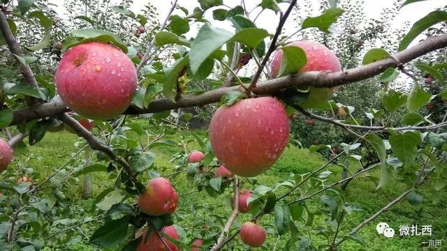 看看云南昭通彝良的风景,看昭通夜景的山