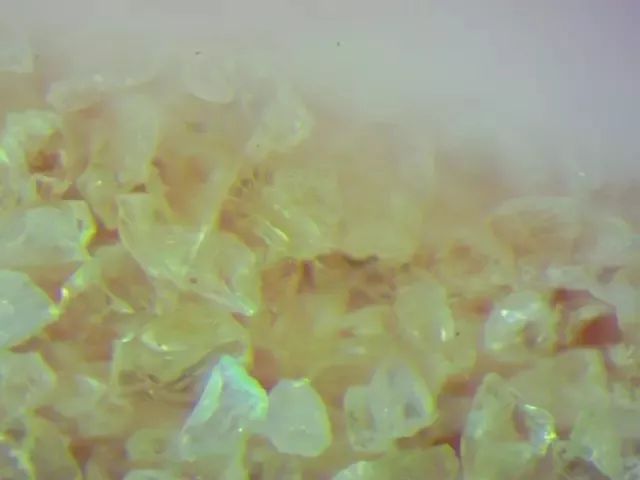 肉眼可见的除螨效果，日本爆款除螨贴，24小时不间断，除螨率高达97%