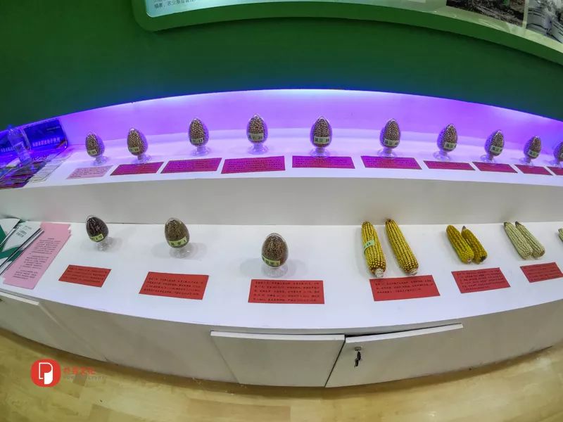 「文明旅游」未来农业应该是啥样？｜快来看全国新农民新技术创业创新博览会