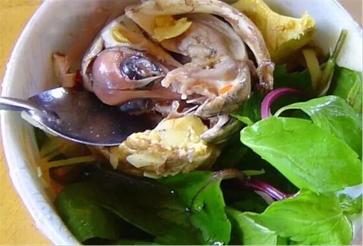 「推荐」州庆来河口的三大理由，有戳中你的吗？