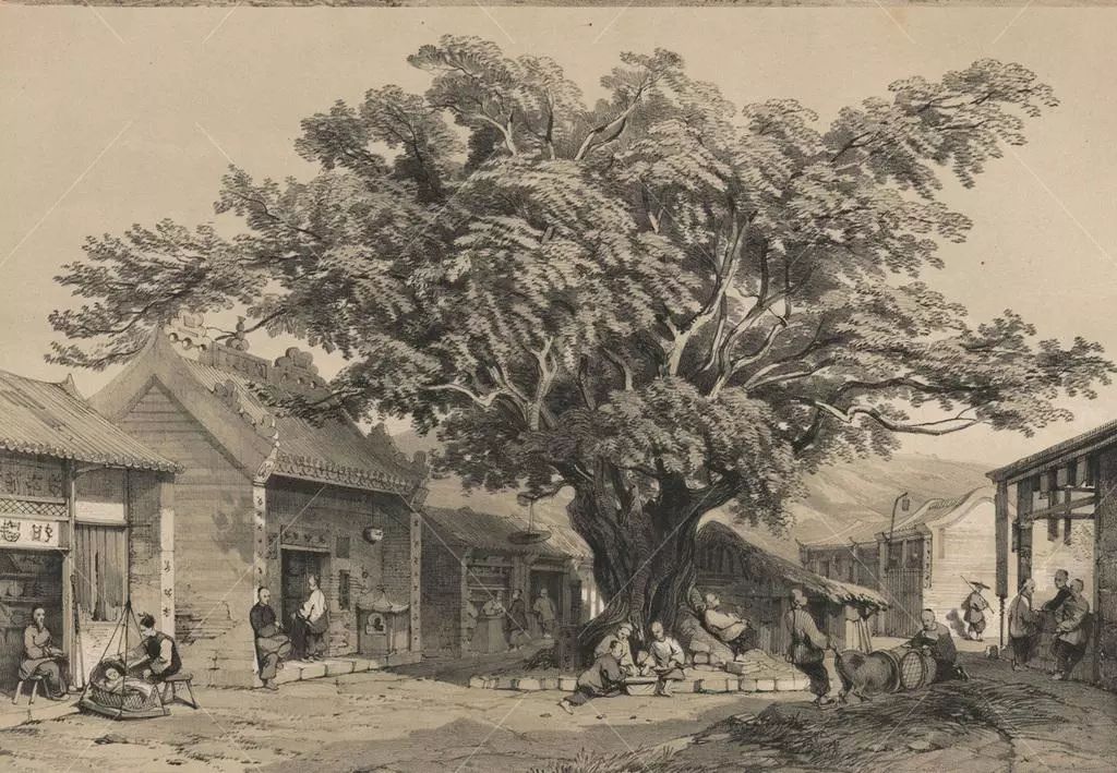 罗检秋老师：清代汉学家的学术精神片论