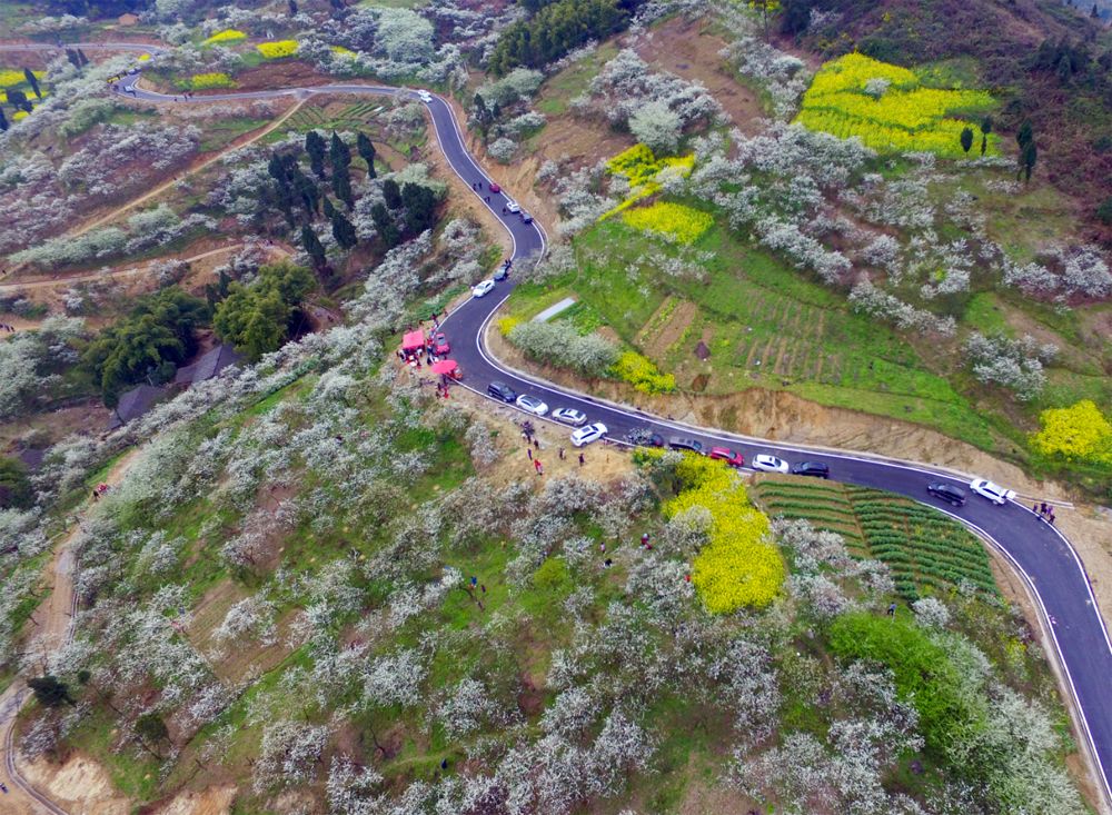 广安乡村振兴示范村有哪些,广安示范村名单