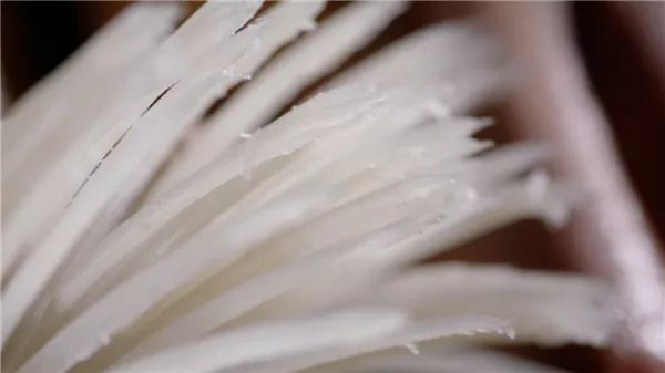 陈晓卿陈导：人间风味没我不爱吃的双手曾沾满天津皮皮虾的鲜血