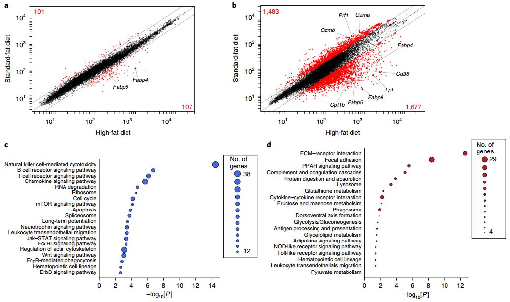 nature子刊著名的抗癌神器再发力,nature抗癌成功案例