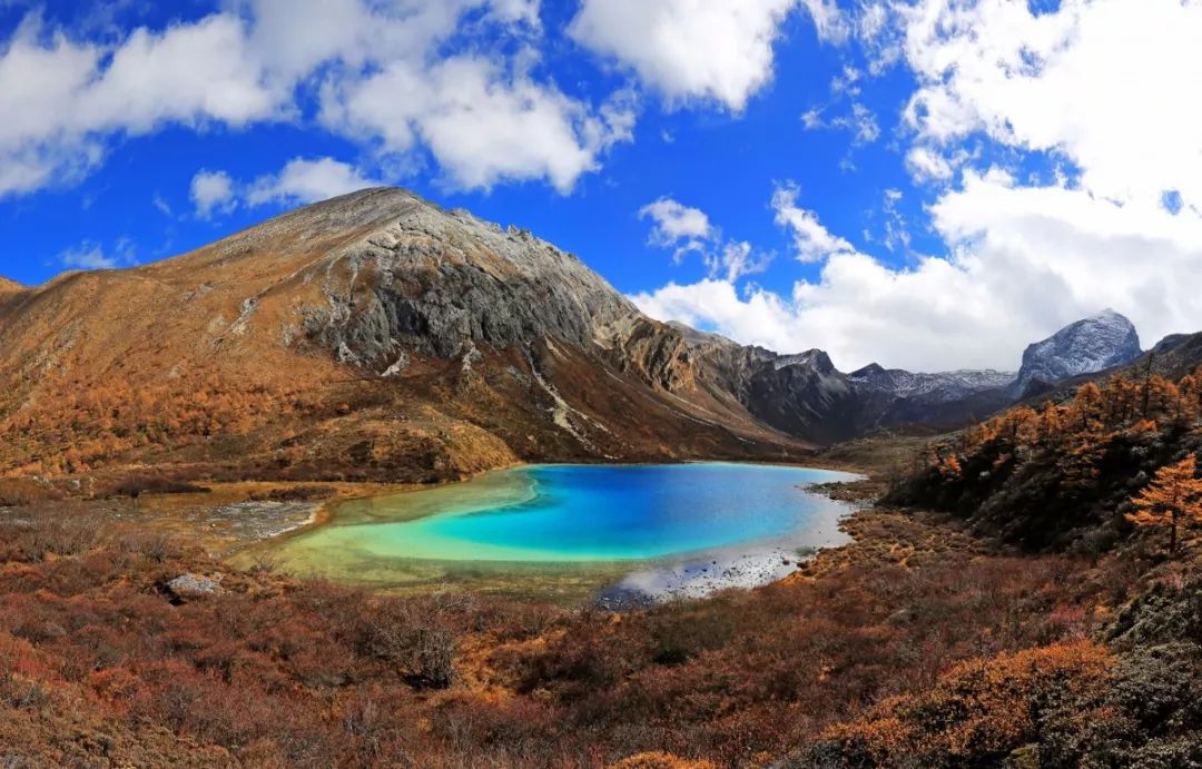 游记分享｜如梦木里，神秘的花园