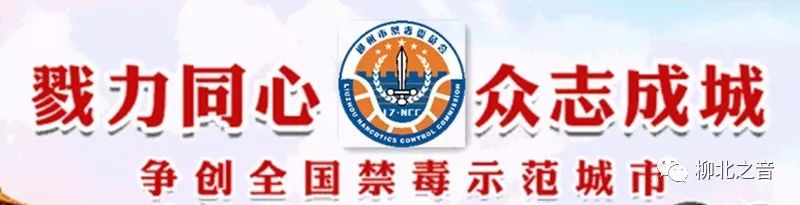 【名师亮校】以名校烘托名师,以名师点亮名校！了解不一样的柳州市滨江中学~