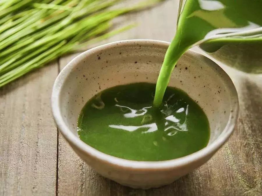 青汁到底能不能减肥,青汁真的有减肥功效吗