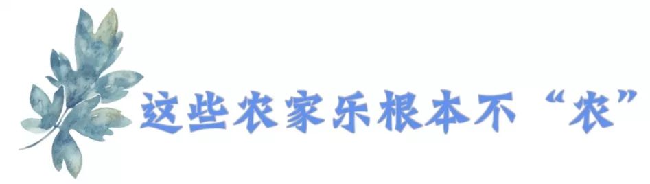 成都可以带娃钓鱼烧烤的农家乐,推荐好的农家乐成都