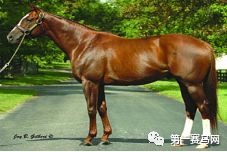 「特稿」数一数，谁是最强的世界纯血种公马？