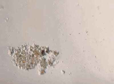 穿上这件冰膜*裤内**，立降3度，湿气3s排出，闪变挺翘蜜桃臀