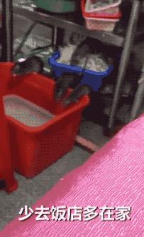 外卖不会毁掉我们的下一代,外卖毁掉下一代的后果