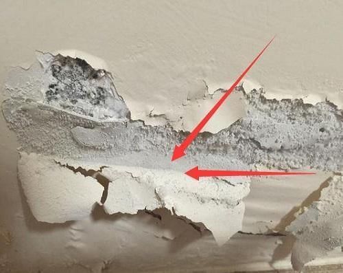 嘉宝莉抗盐硝1号味道大,嘉宝莉抗盐硝1号产品介绍