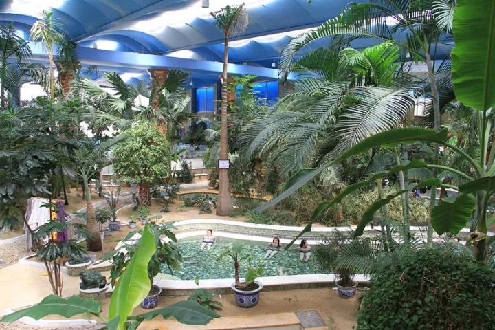 阿尔山不是山一年四季风景美到爆,梦幻里的阿尔山