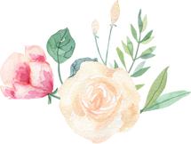 肉鸭亏损严重,养殖户是什么原因利润低