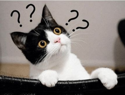 江西消防直播中突然出警,江西消防最新消息今天