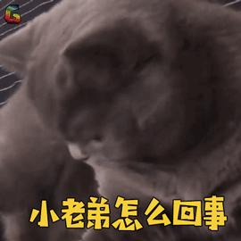 拔牙后能吃东西了吗,拔牙以后能吃能洗澡吗