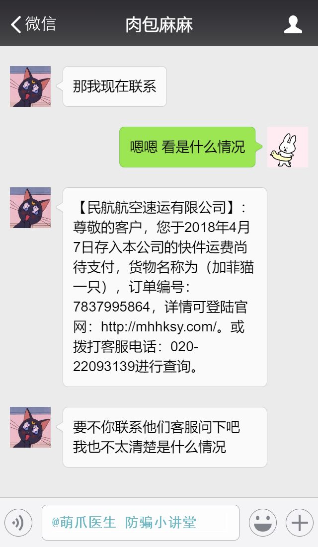 布偶猫多大可以领养,为什么不建议你领养布偶猫