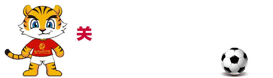 恒大u15vs武汉三镇u15锦标赛,2019年恒大杯u15比赛