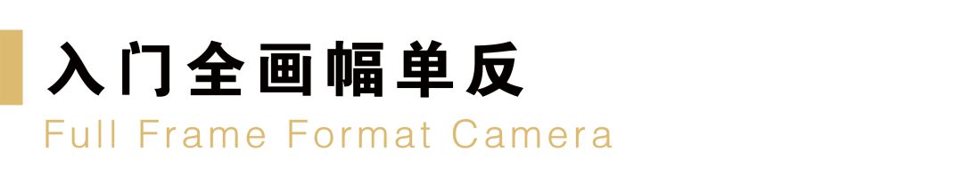 尼康值得入门的单反相机推荐,尼康最新款单反相机d780和d850