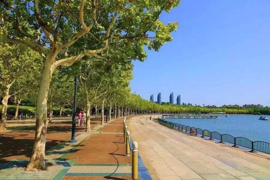 暴露年龄的时候到了！你出生那一年，上海都发生了什么大事？