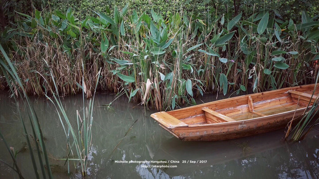 原生态风貌的西溪湿地公园