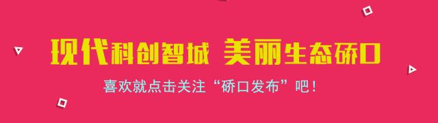 武汉市硚口校园足球,硚口区校园足球联赛2024