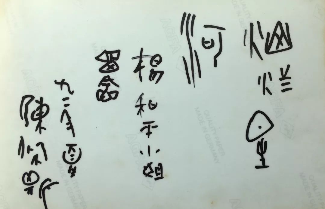 《爱在恰逢其时》杨和平:留下看得见的历史(20)