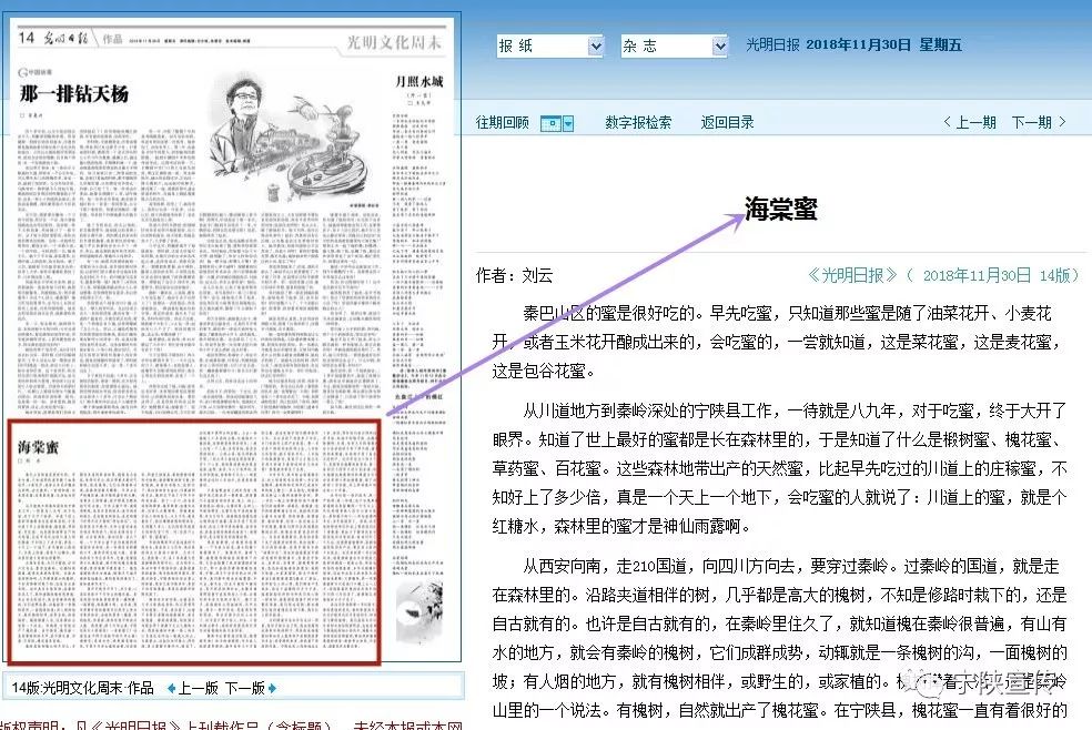 甜入心的宁陕“海棠蜜”……