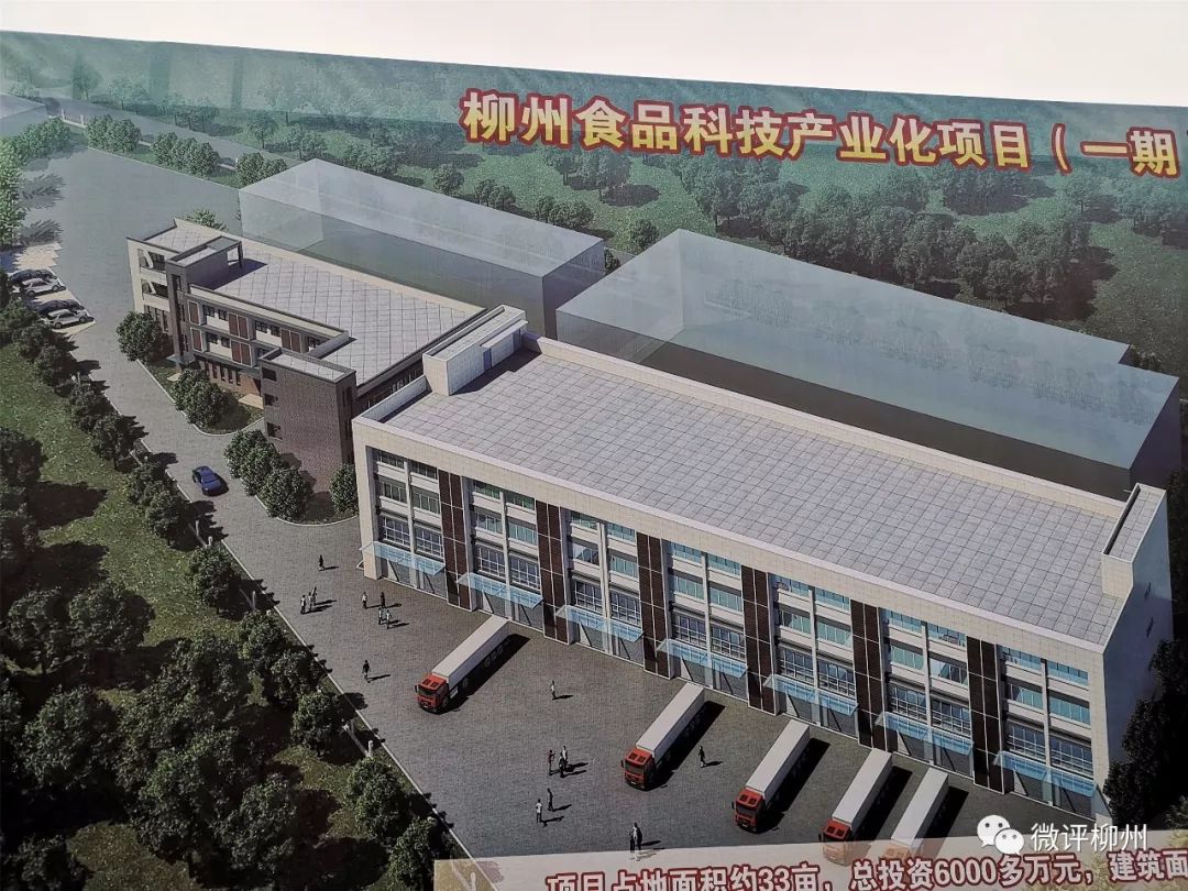 柳州市十五中滨江小学什么样,柳州市十五中滨江西中学