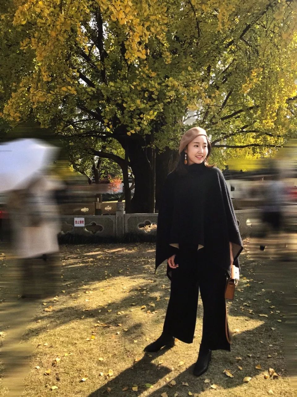 银杏打卡景点,成都周边打卡最美银杏观赏地