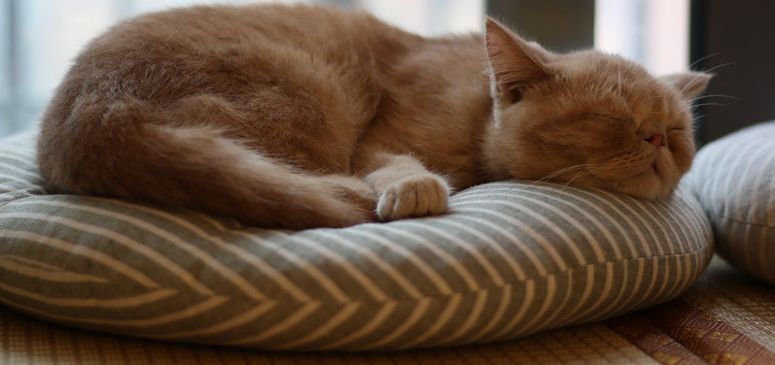 90后姑娘罕见病,90后女孩突然腋窝疼