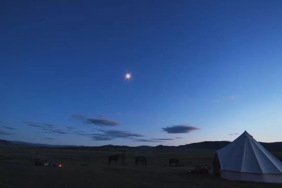 那个开着旅行咖啡车的女孩，暂别荒野重返都市
