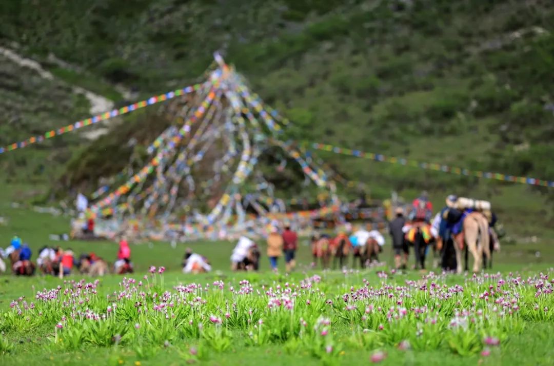木里为什么叫木里王国,木里为什么每年都有火